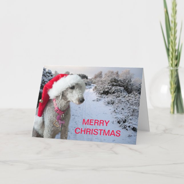 Cartão De Festividades Christmas card (Frente)