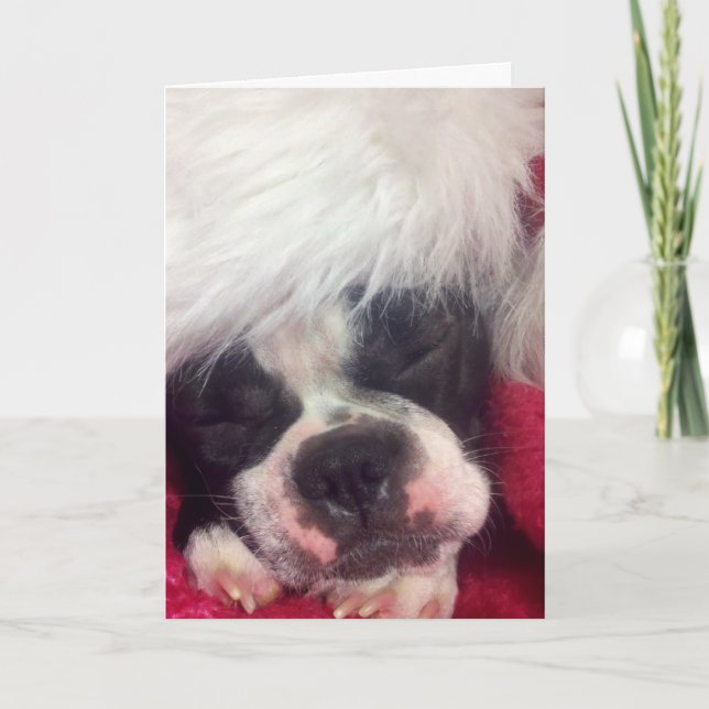 Cartão De Festividades Christmas Card (Frente)