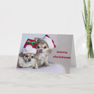 Cartão De Festividades Christmas Card