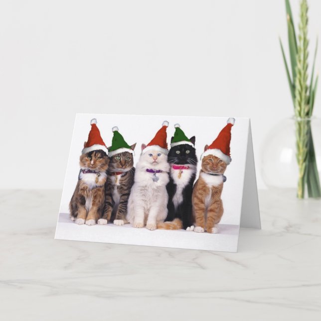 Cartão De Festividades Christmas card (Frente)