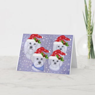 Cartão De Festividades Christmas Card