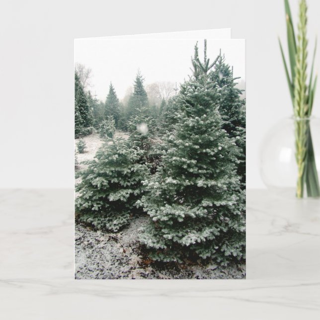 Cartão De Festividades Christmas Card (Frente)