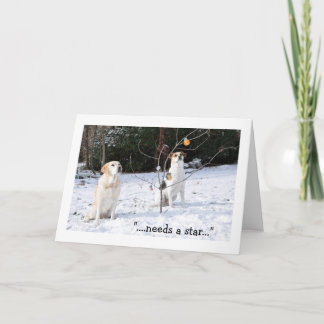 Cartão De Festividades Christmas card, 2 dogs in snow looking at tree