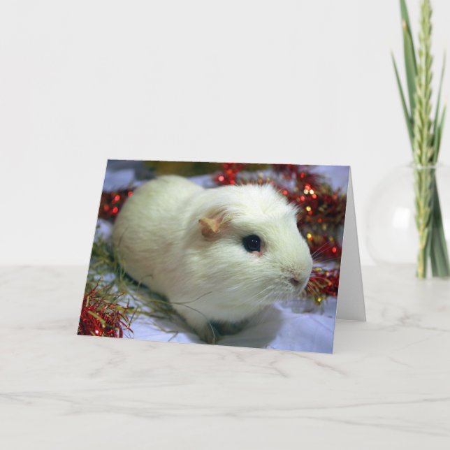 Cartão De Festividades Christmas card guinea pig (Frente)
