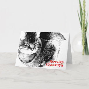 Cartão De Festividades Christmas Card - Half-Burmese Cat