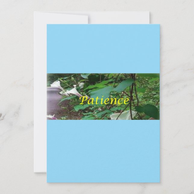 Cartão De Festividades Christmas card patience (Frente)