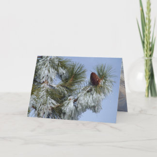 Cartão De Festividades Christmas Card - Pinecone