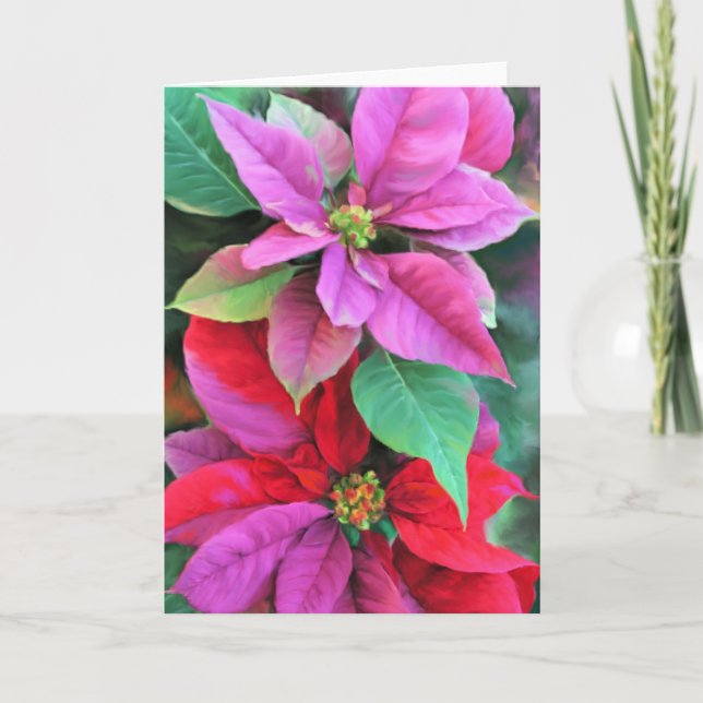 Cartão De Festividades Christmas Card Pink & Red Poinsettias (Frente)