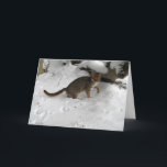 Cartão De Festividades Christmas card - Rusty spotted cat 2<br><div class="desc">Profits from the sale of this item will contribute towards wild cat conservation.</div>