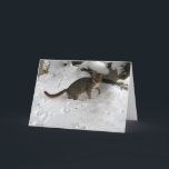 Cartão De Festividades Christmas card - Rusty spotted cat 2<br><div class="desc">Profits from the sale of this item will contribute towards wild cat conservation.</div>
