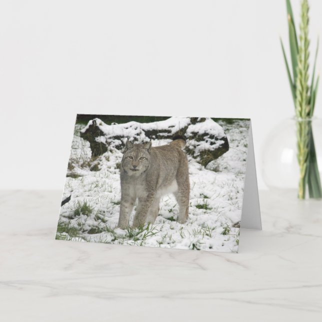 Cartão De Festividades Christmas card - Siberian lynx (Frente)