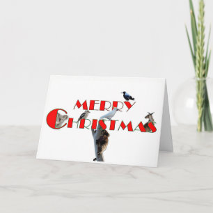 Cartão De Festividades Christmas Card with Australian Animals