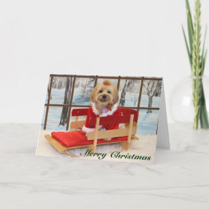 Cartão De Festividades Christmas Card with Joey