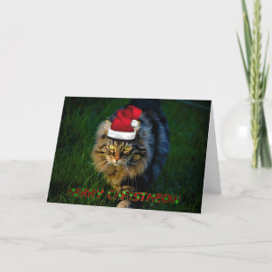 Cartão De Festividades Christmas card xmas Christmas animal kitty cat