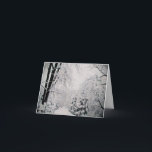 CARTÃO DE FESTIVIDADES CHRISTMAS CARDS, WINTER SCENE, HOLIDAY CARDS<br><div class="desc">CHRISTMS CARDS,  HOLIDAY CARDS,  WINTER SCENS,  SNOW ON TREES</div>