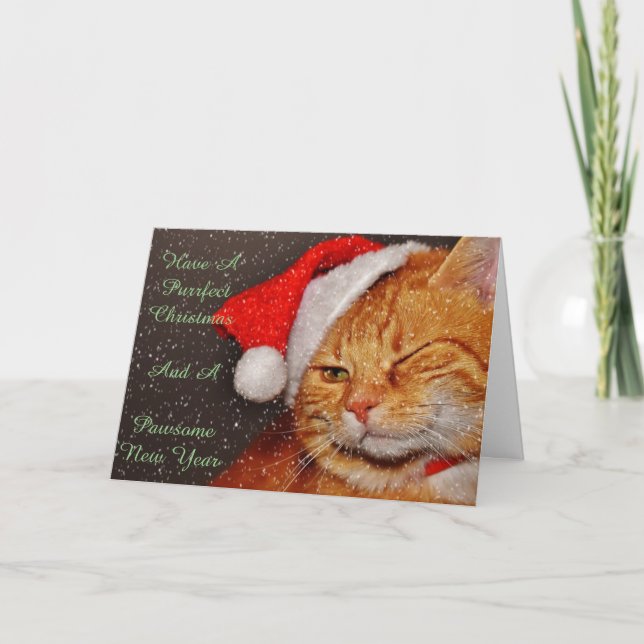Cartão De Festividades Christmas Cat Card (Frente)