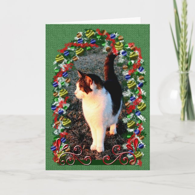 Cartão De Festividades Christmas Cat Holiday Kitten Xmas Pet Message (Frente)