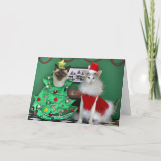 Cartão De Festividades Christmas Cats
