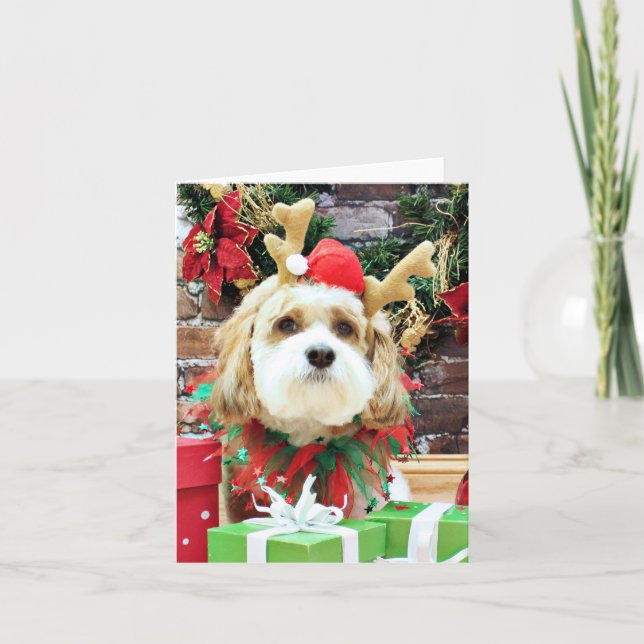 Cartão De Festividades Christmas - Cavachon - Max (Frente)