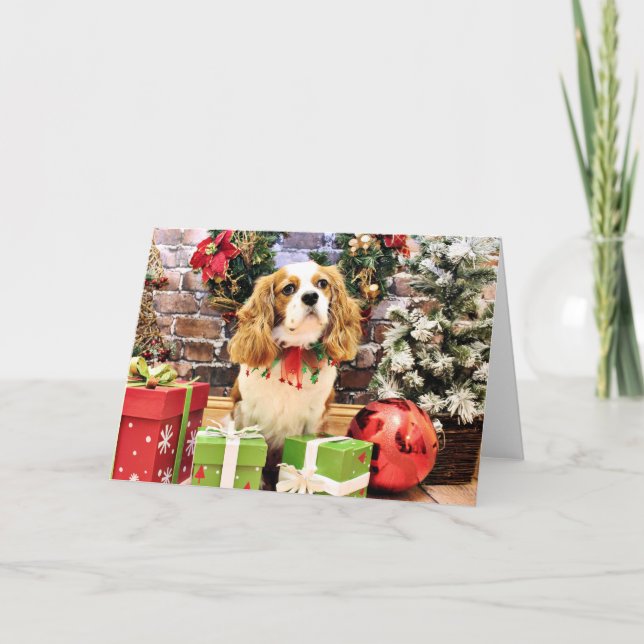 Cartão De Festividades Christmas - Cavalier King Charles Spaniel Maverick (Frente)