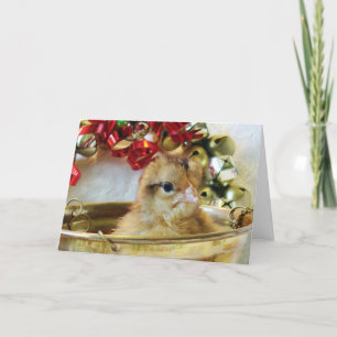 Cartão De Festividades Christmas Chick