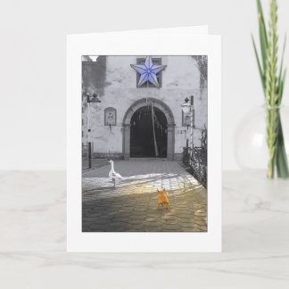 CARTÃO DE FESTIVIDADES CHRISTMAS CHIHUAHUA CARD