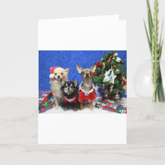 Cartão De Festividades Christmas Chihuahuas