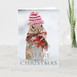 Cartão De Festividades Christmas chipmunk<br><div class="desc">Use this picture to greet anybody for Christmas! Great to have on hand. Blank inside so you can customize it on Zazzle's amazing personalization tool online or hand-write a message.</div>