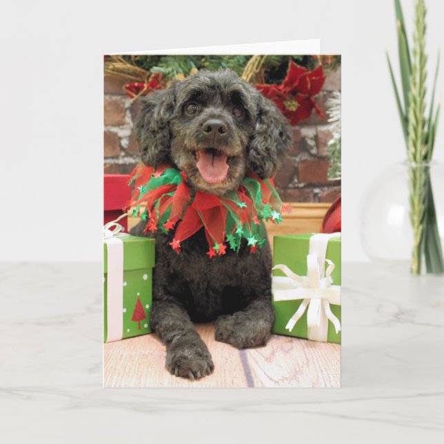 Cartão De Festividades Christmas - Cockapoo - Rocky (Frente)