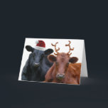 Cartão De Festividades Christmas Cows in Santa Hat and Antlers<br><div class="desc">This dairy cow couple is all dressed up for the holiday season, and ready to pull Santa's sleigh on Christmas eve! A black steer wearing a red santa hat, and a brown colored cow, wearing a pair of costume fuzzy antlers. Funny cow pun saying inside wishes family and friends a...</div>