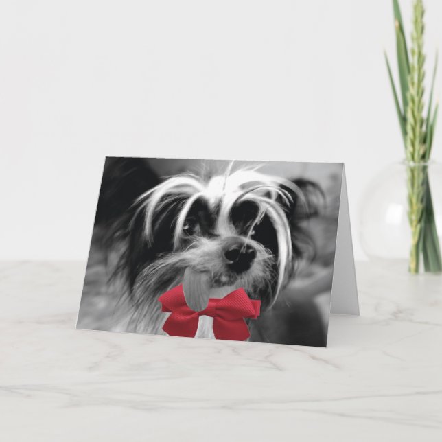 Cartão De Festividades Christmas Crested (ME) (Frente)