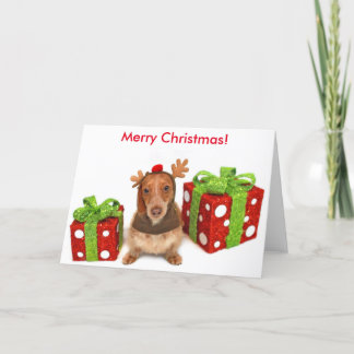 Cartão De Festividades Christmas Dachshund
