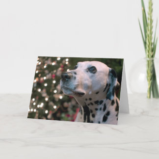 Cartão De Festividades Christmas Dalmatian