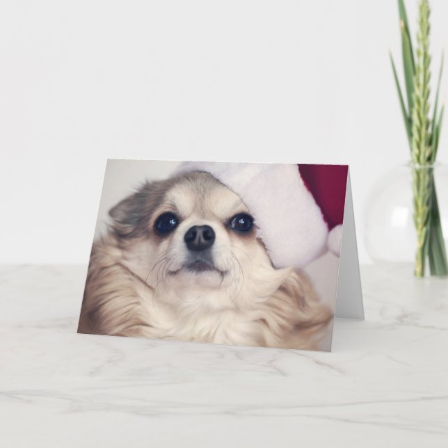 Cartão De Festividades Christmas Doggy Cheer (Frente)