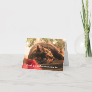 Cartão De Festividades Christmas Dreams Sleeping Calico Cat, Personalized