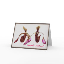 Christmas Flower Orchid