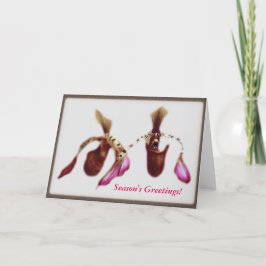 Cartão De Festividades Christmas Flower Orchid