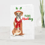 Cartão De Festividades Christmas Funny Boxer Dog Fleas NaviDOG<br><div class="desc">Boxer lovers can send or be the lucky recipient of this delightfully cheerful greeting for the holiday season with a funny Fleas NaviDOG theme and a cute boxer dog dressed for the season.</div>