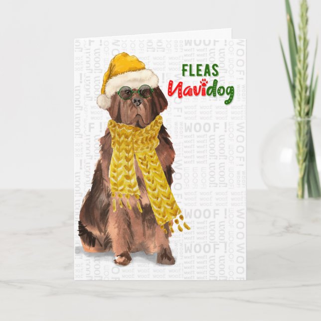 Cartão De Festividades Christmas Funny Newfoundland Fleas NaviDOG (Frente)