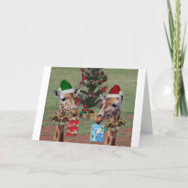 Cartão De Festividades Christmas Giraffes