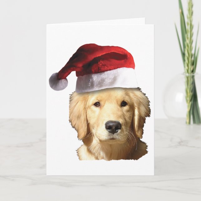 Cartão De Festividades Christmas Golden Retriever (Frente)