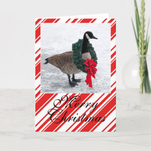 Cartão De Festividades Christmas Goose with Wreath