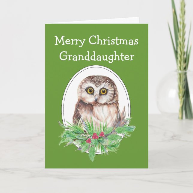 Cartão De Festividades Christmas Granddaughter Cute Owl Bird Holly PIne (Frente)