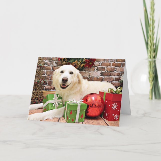 Cartão De Festividades Christmas - Great Pyrenees Labrador X - Ginny (Frente)