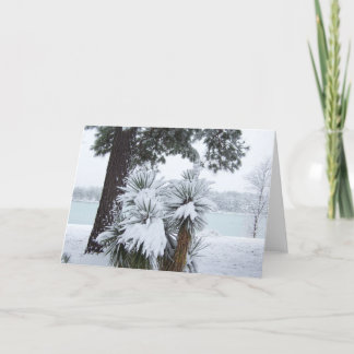 Cartão De Festividades Christmas Greeting cards