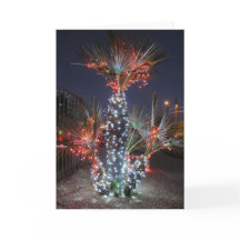 Christmas in Phoenix, Arizona