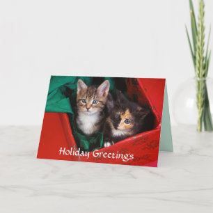 Cartão De Festividades Christmas Kittens