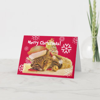 Cartão De Festividades Christmas Kitty