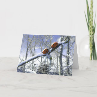 Cartão De Festividades Christmas ladybirds