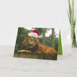 Cartão De Festividades Christmas Lion Wearing Santa Hat